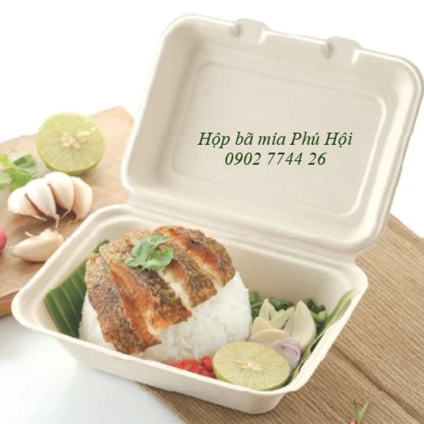 Hộp bã mía 1 ngăn nắp liền 750ml tại Quận 4 TP HCM